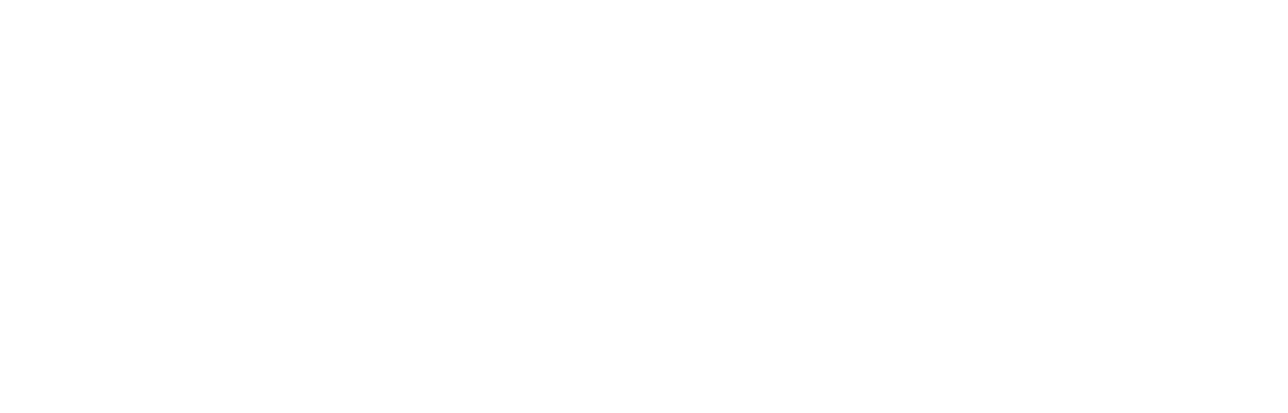 NVTL_Logo_2022_NIEUW_DIAP_155355